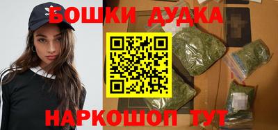 мдпв Новодвинск